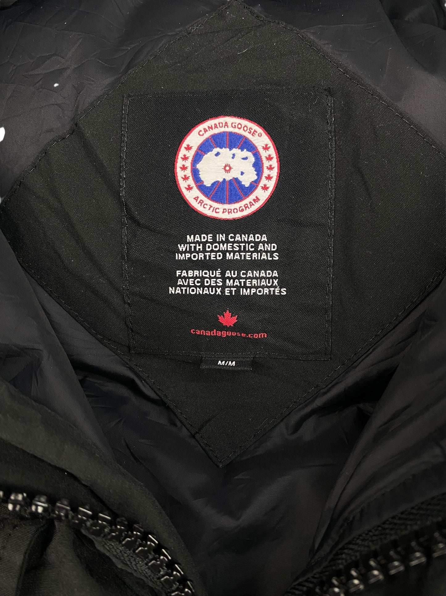 Canada Goose